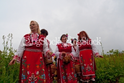 Розобер