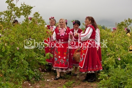 Розобер