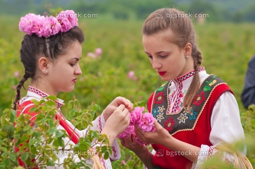 Розоберачка на розобер